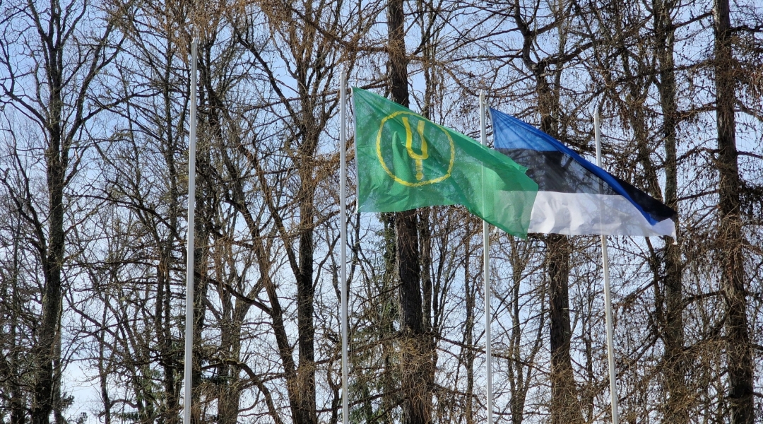 Vallavolikogu liikmete, asendusliikmete ja lisamandaatide ...